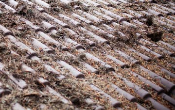 Butt Lane roof cleaning companies